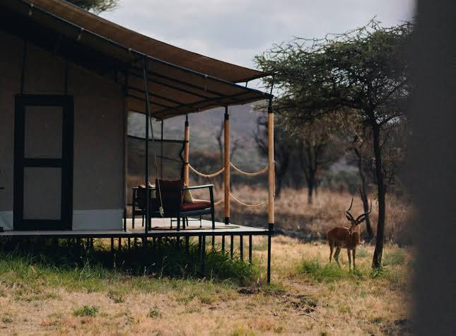 Awali Serengeti Camp