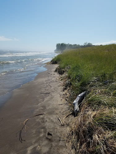 Kohler Park Dunes State Natural Area