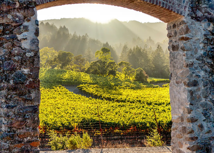 Jack London State Historic Park