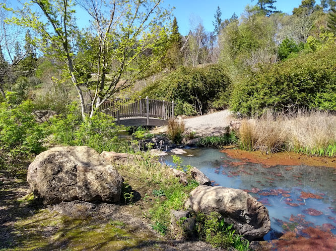 Sonoma Botanical Garden