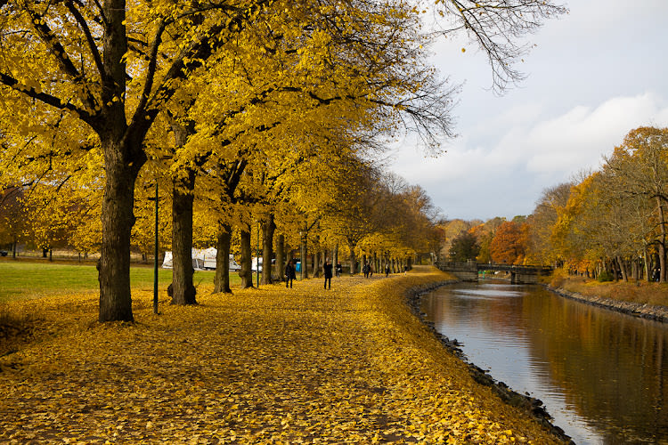 Royal Djurgården