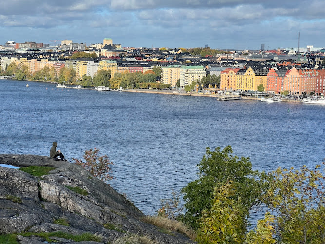 Skinnarviksberget