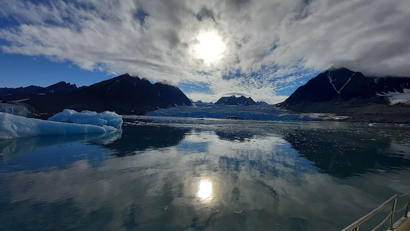 Poli Arctici