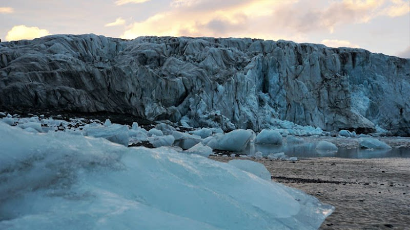Svalbard Wildlife Expeditions