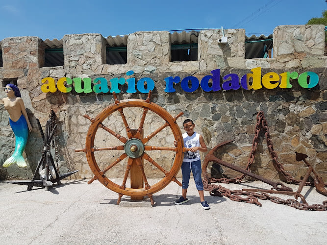 Acuario Rodadero Santa Marta