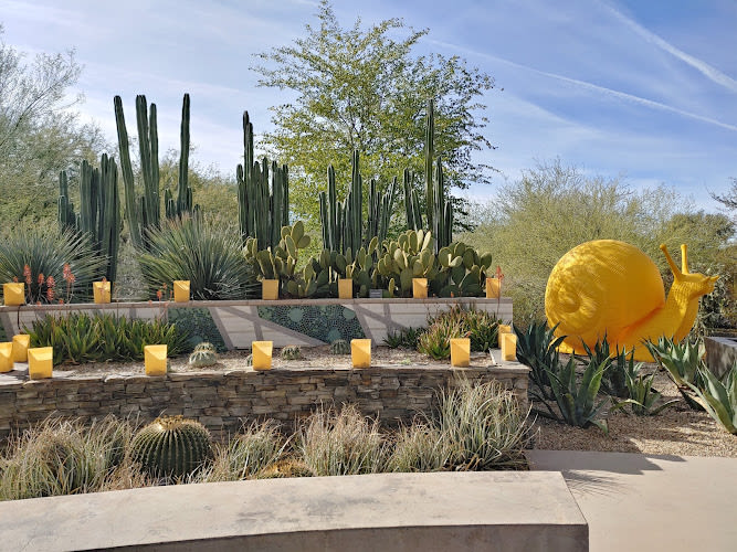 Desert Botanical Garden