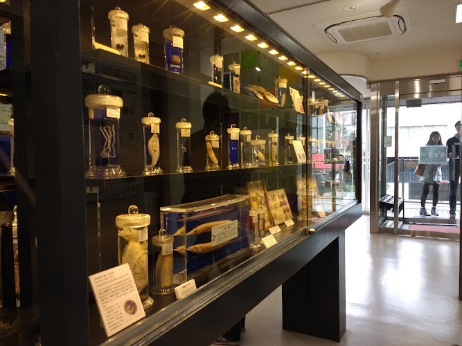 Meguro Parasitological Museum