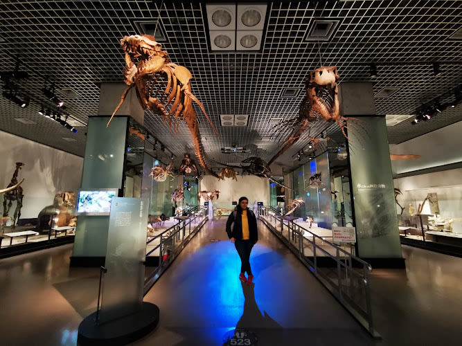 National Museum of Nature and Science