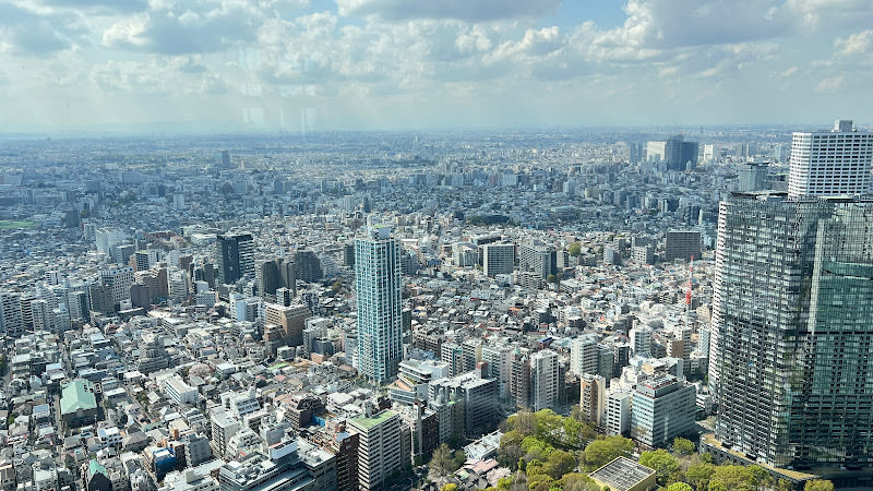 Tokyo Metropolitan Government Building North Observatory