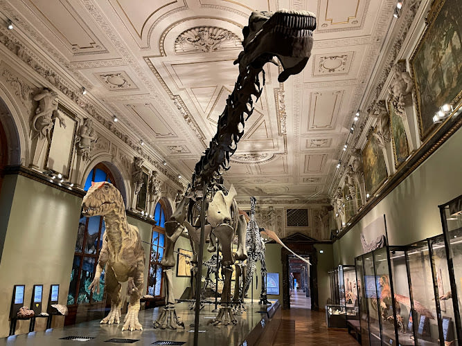 Museum of Natural History Vienna