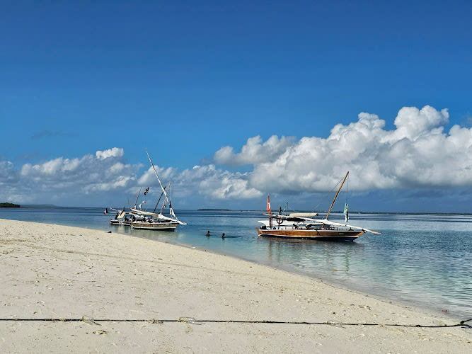 Travel To Zanzibar