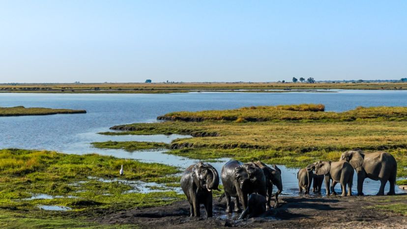 Scenic view of Okavango Delta, Botswana