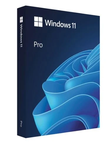 Microsoft Windows 11 Pro — Lifetime License 1 PC