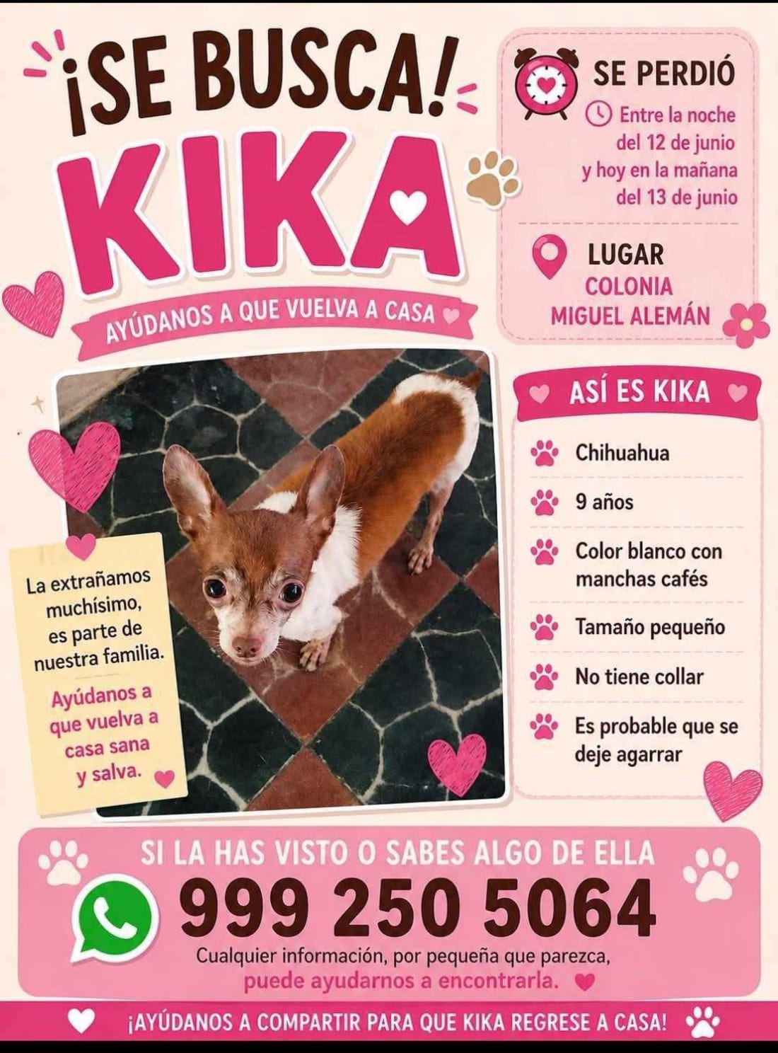 perro KIKA