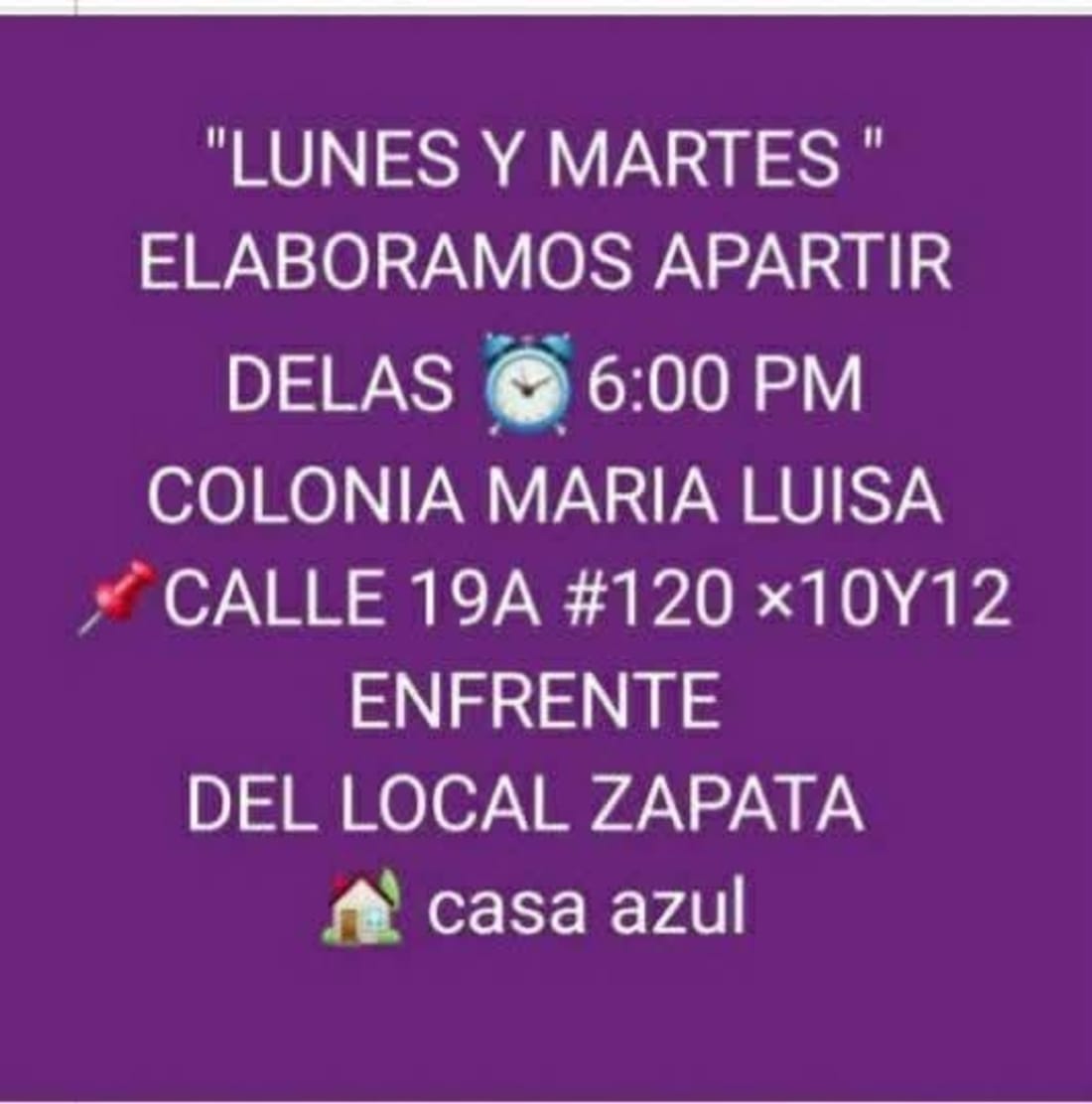 Maribel Dzul - Empanadas, panuchos y aguas en Colonia María Luisa