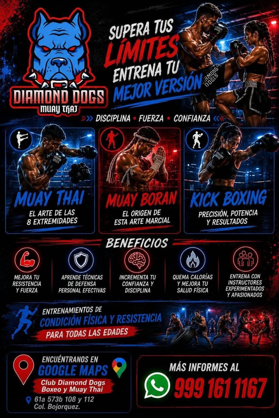 Diamond Dogs Muay Thai y Box - Clases de Artes Marciales