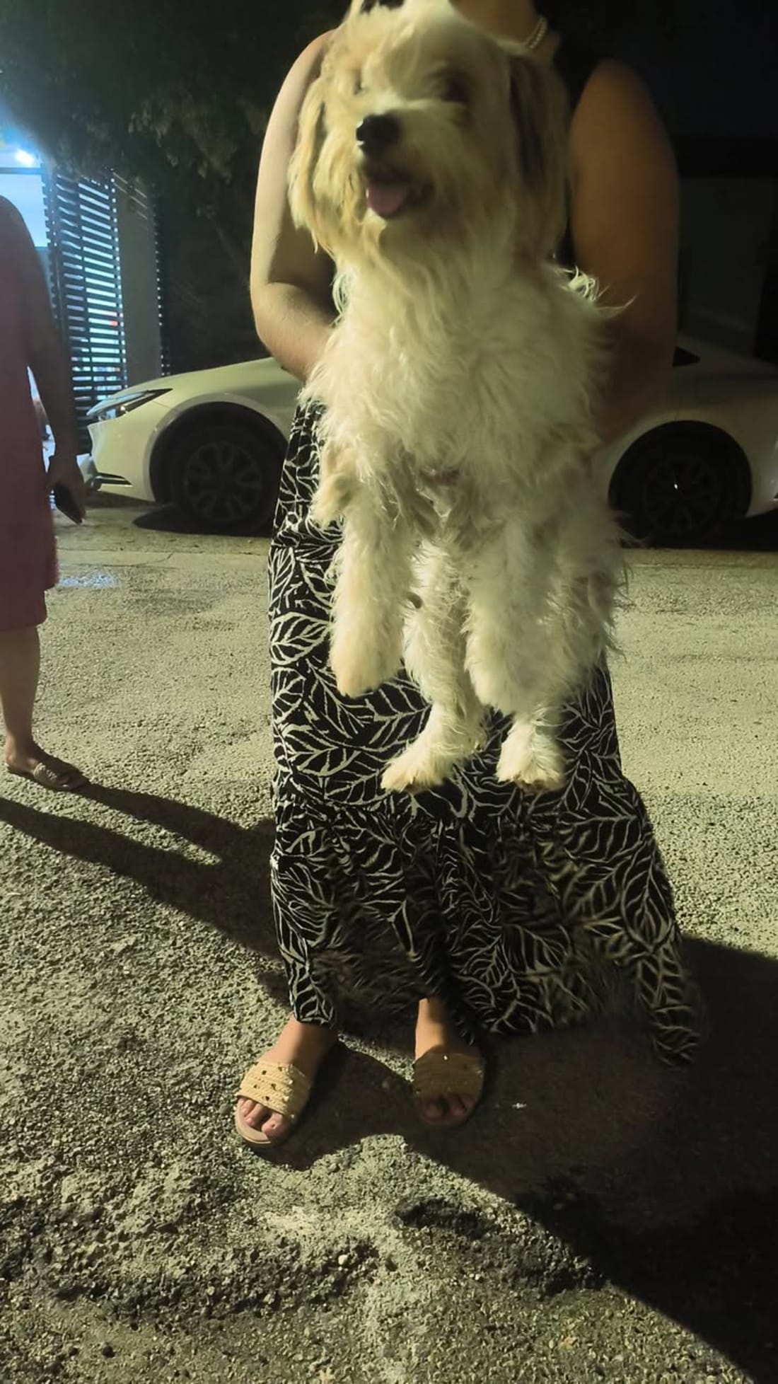 perro