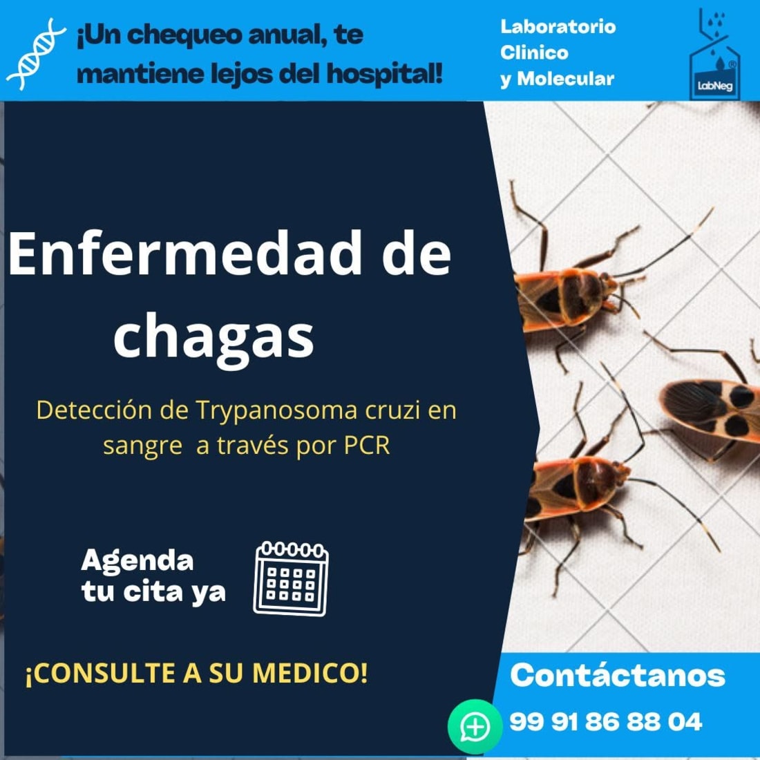LabNeg Laboratorio Clínico y Molecular - Análisis y Servicio a Domicilio