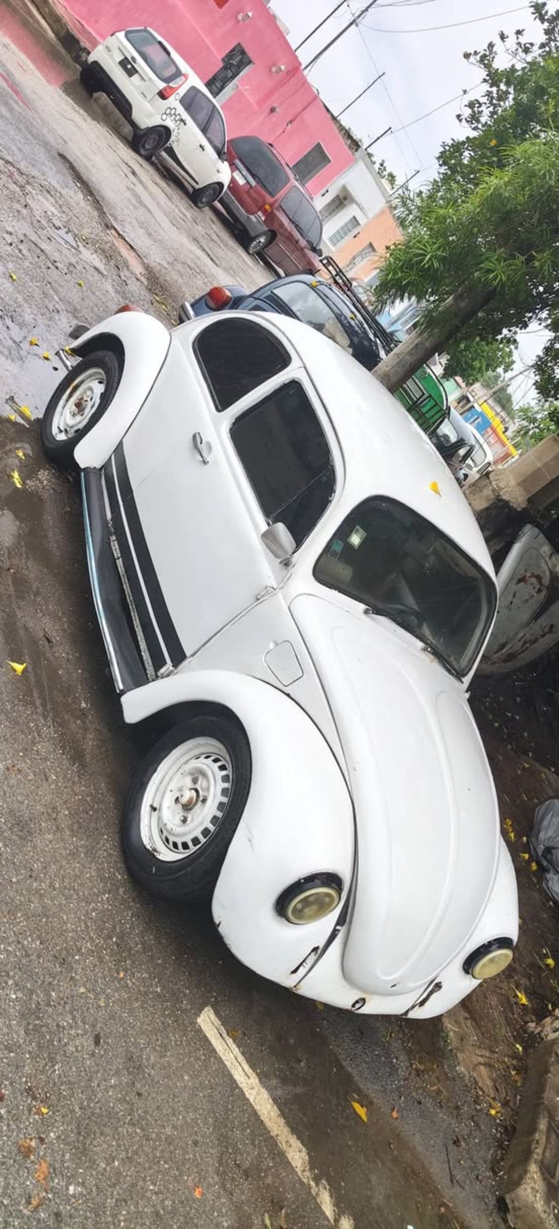 Refaccionaría VW Andrei - Refacciones Volkswagen