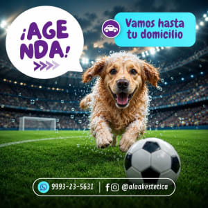 Aláak Estética Canina a Domicilio - Servicios para Mascotas