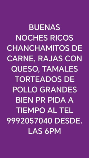 Erika Cristina Martinez Herrera - Chanchamitos y Tamales