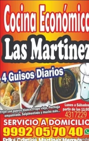 Erika Cristina Martinez Herrera - Chanchamitos y Tamales