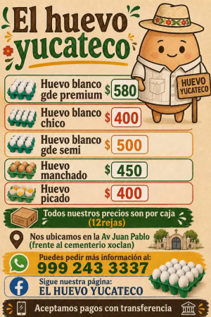El Huevo Yucateco - Huevo blanco fresco