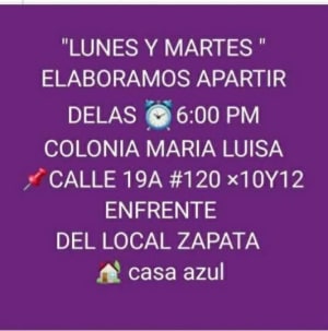 Maribel Dzul - Empanadas, panuchos y aguas en Colonia María Luisa
