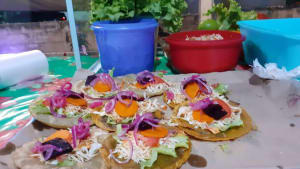Maribel Dzul - Empanadas, panuchos y aguas en Colonia María Luisa