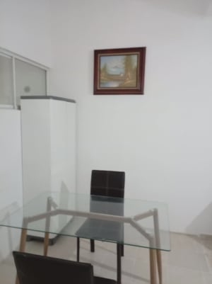 Departamento en Renta - Fraccionamiento Las Américas 2