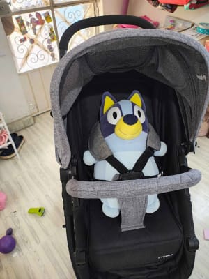 Carriola Prinsel Travel System Prima Gris - Sistema de Viaje