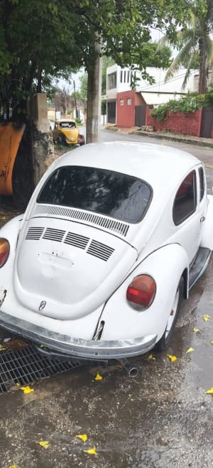 Refaccionaría VW Andrei - Refacciones Volkswagen