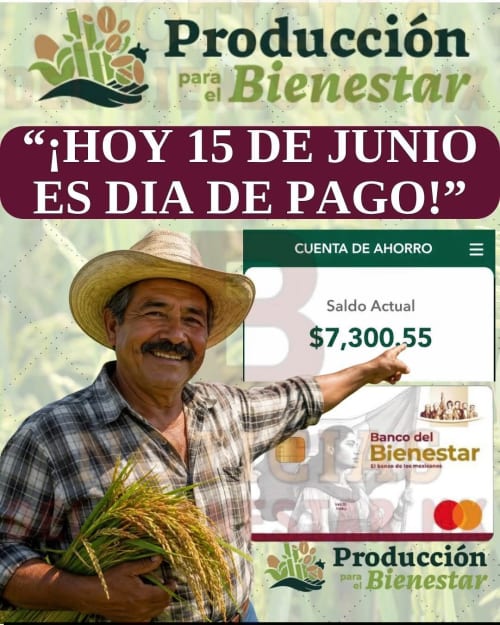 Inician depósitos de Producción para el Bienestar para productores de arroz y otros beneficiarios