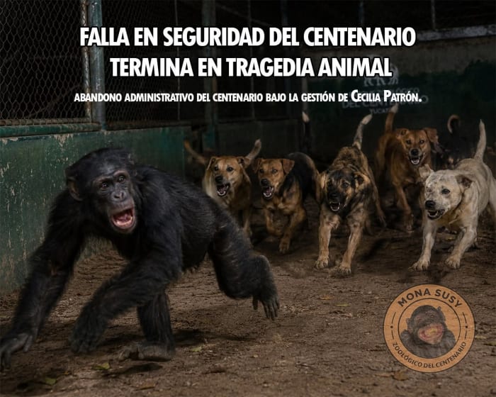 Rescate