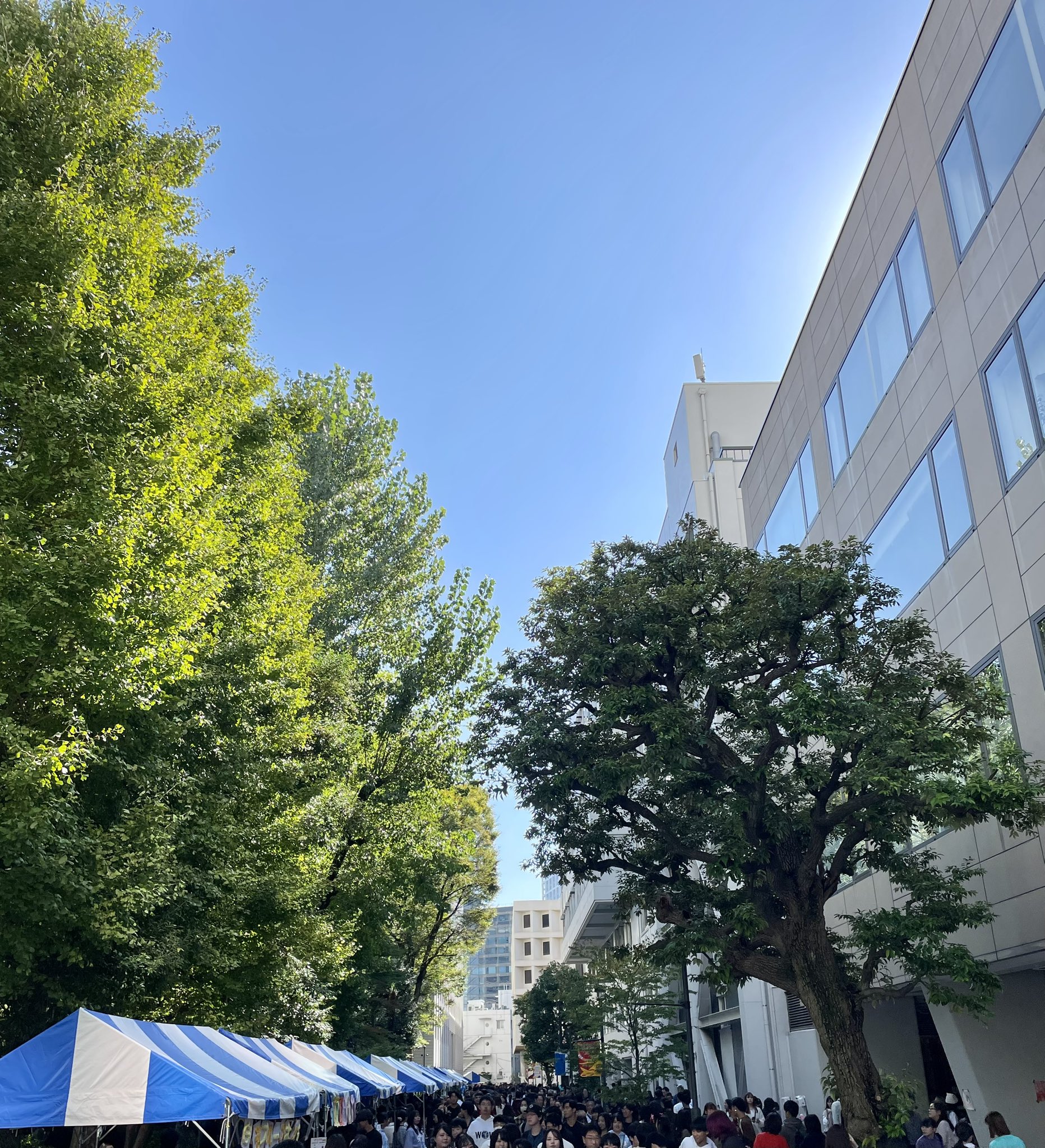 ソフィア祭はいい天気でよかった