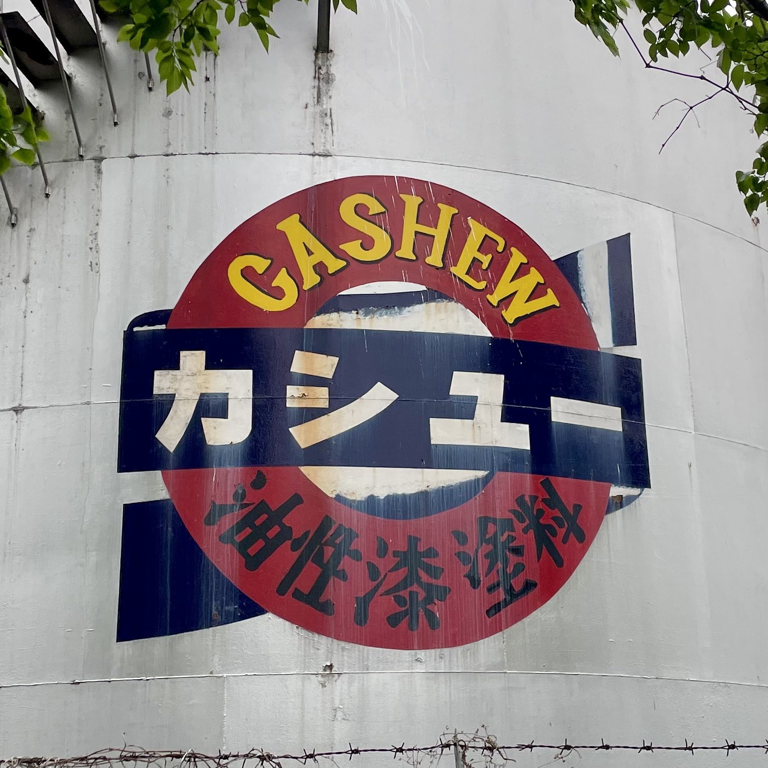 カシュー？