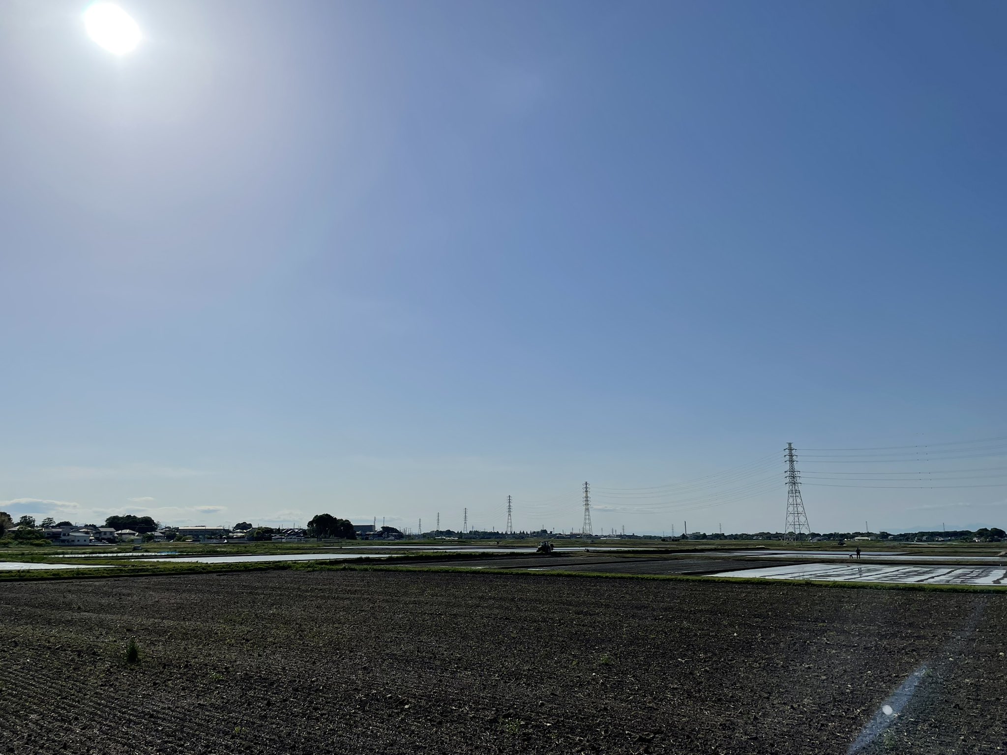 田んぼの風景