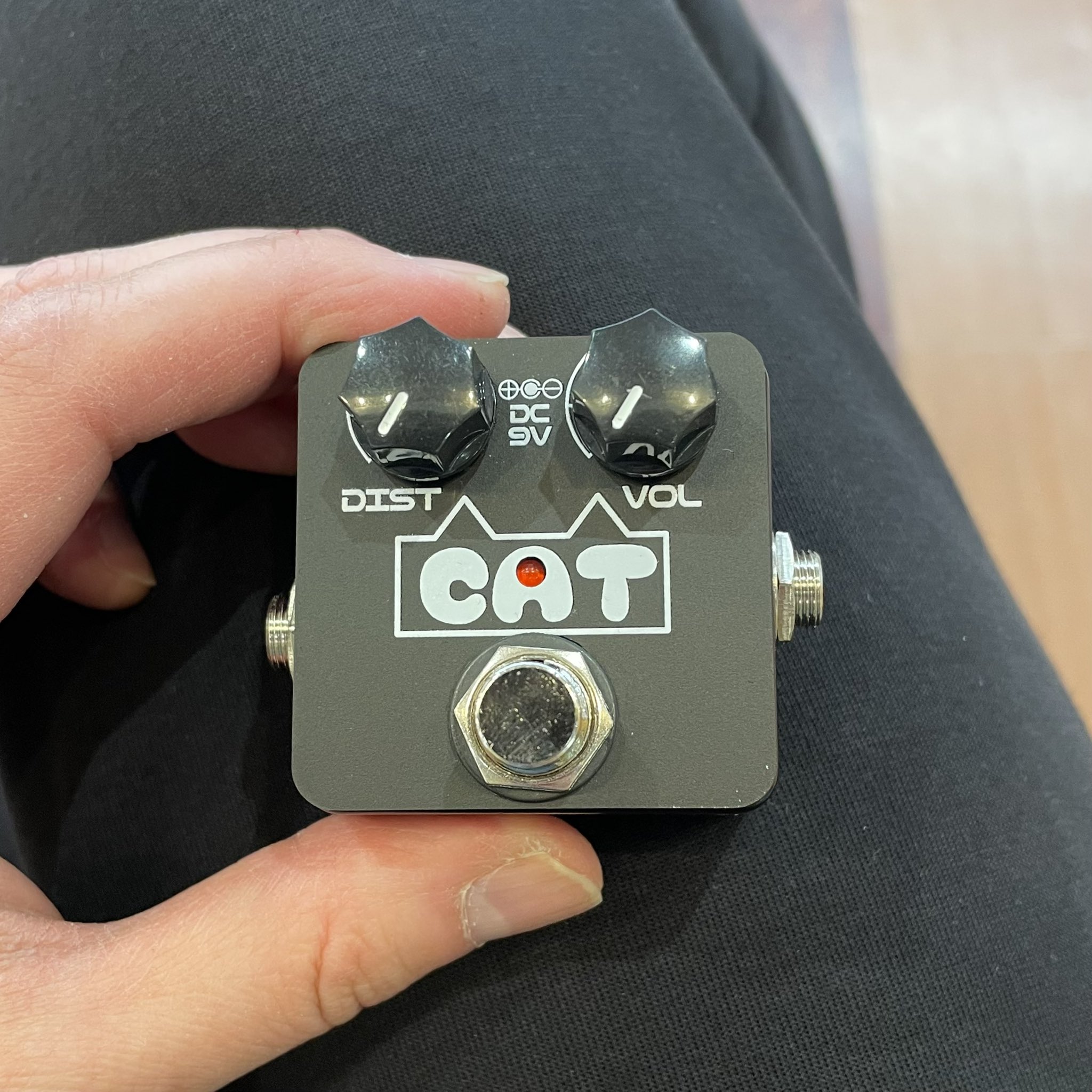 THE NEXT SOUND / CH-06 CAT