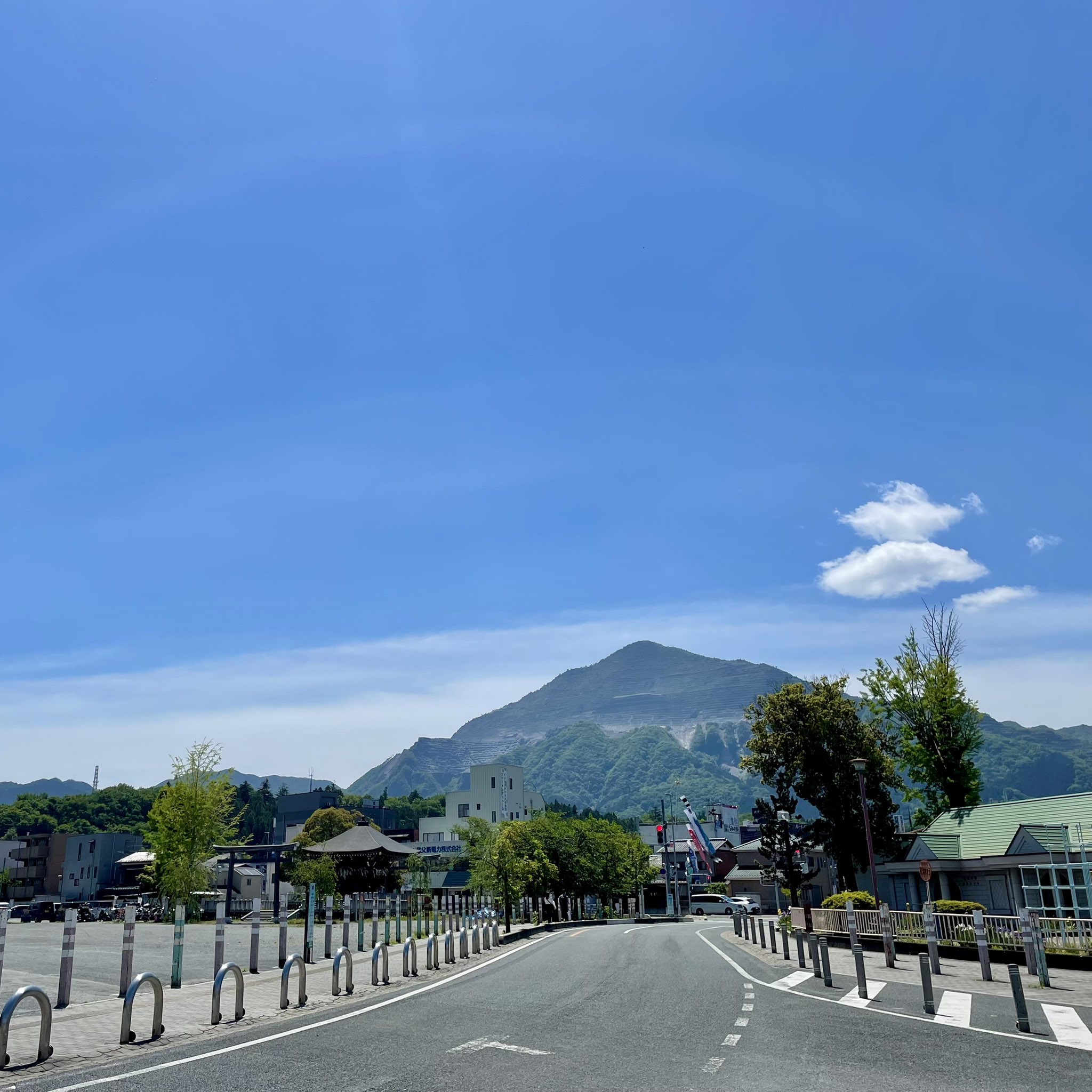 秩父の山の様子