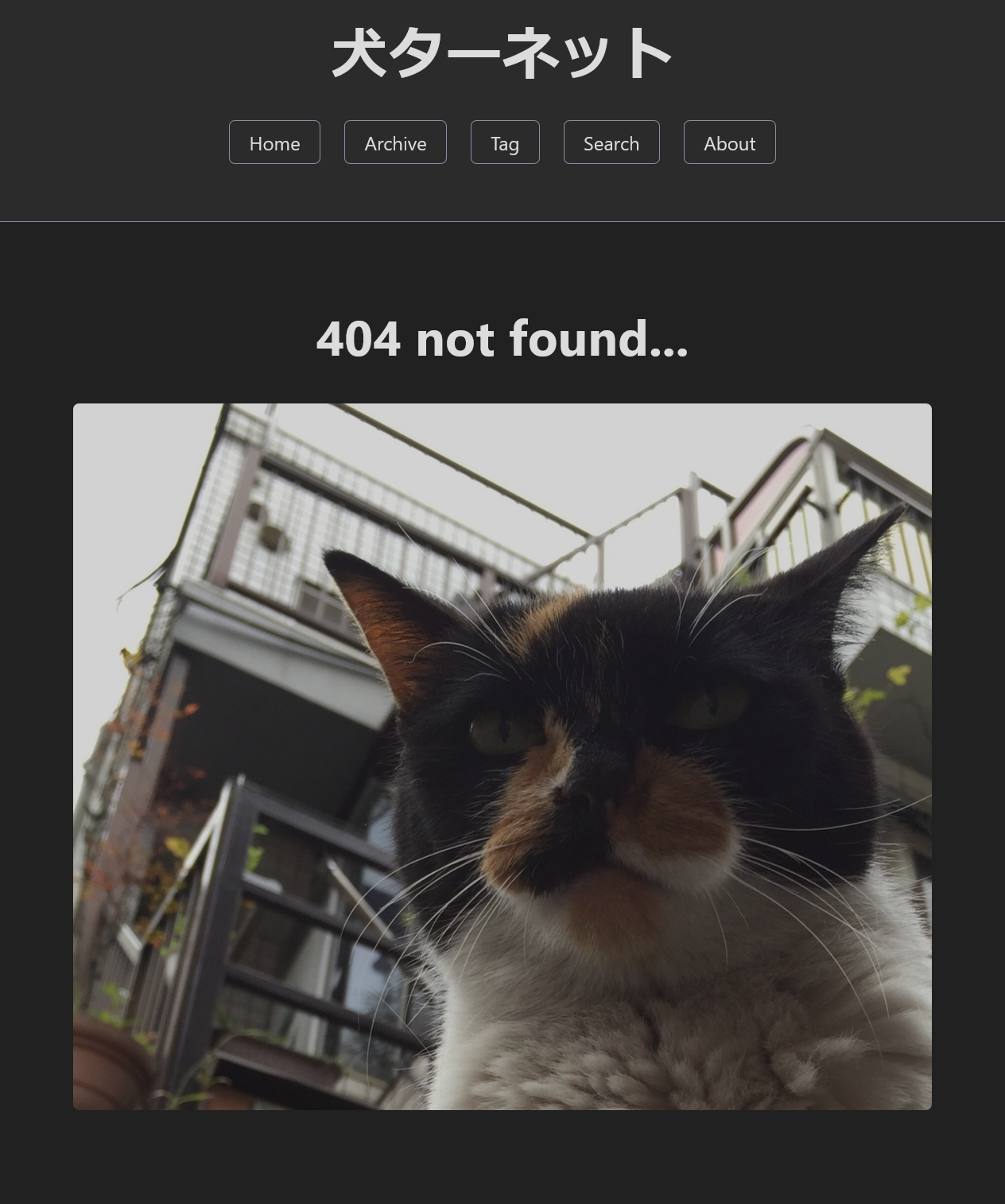 404 not found