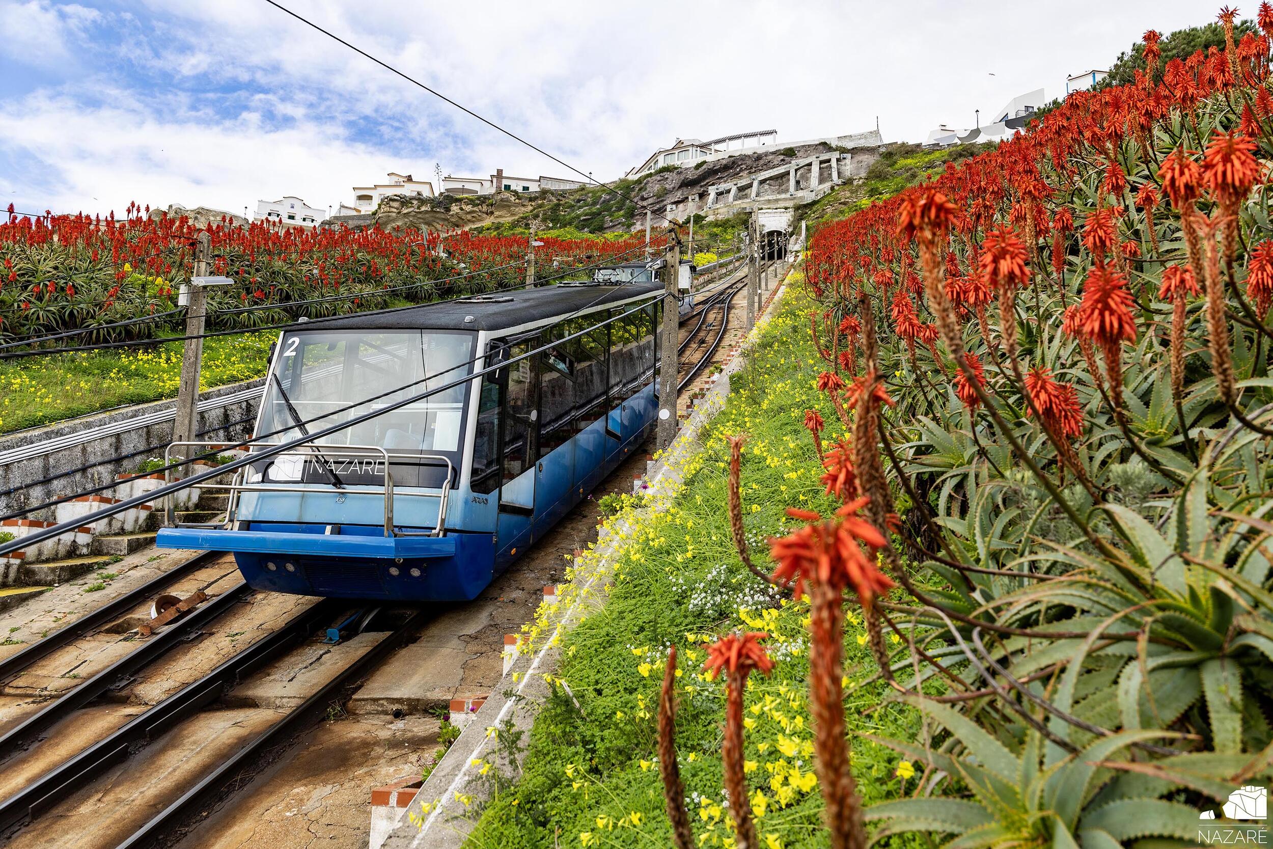 Viagens de ascensor interrompidas no dia 28 de abril com transporte alternativo assegurado