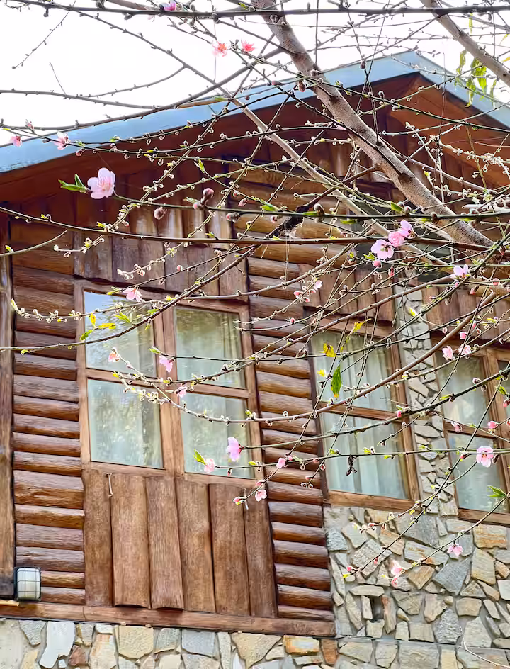 Image of Wood Note Cottage