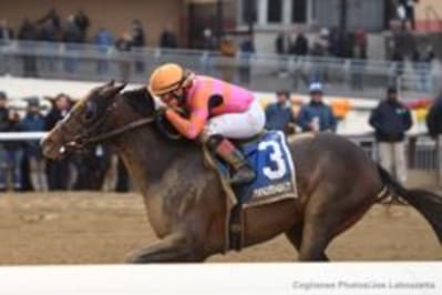 Max Player Workout - September 21, 2020