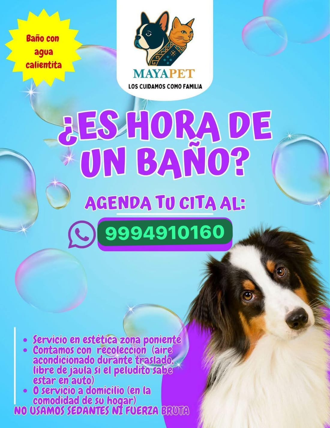 Imagen de Estética Canina - Baños Desde $150