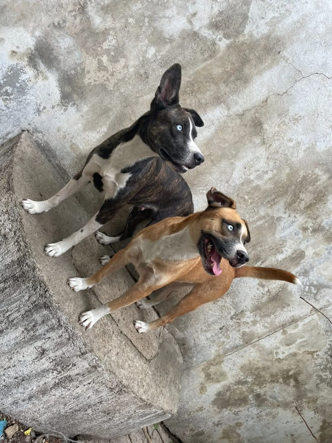Keisy y Kyra