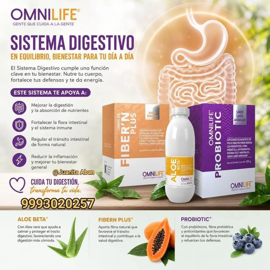 Imagen de Aloe + Fibra + Probióticos, Combinación para Tu Digestión