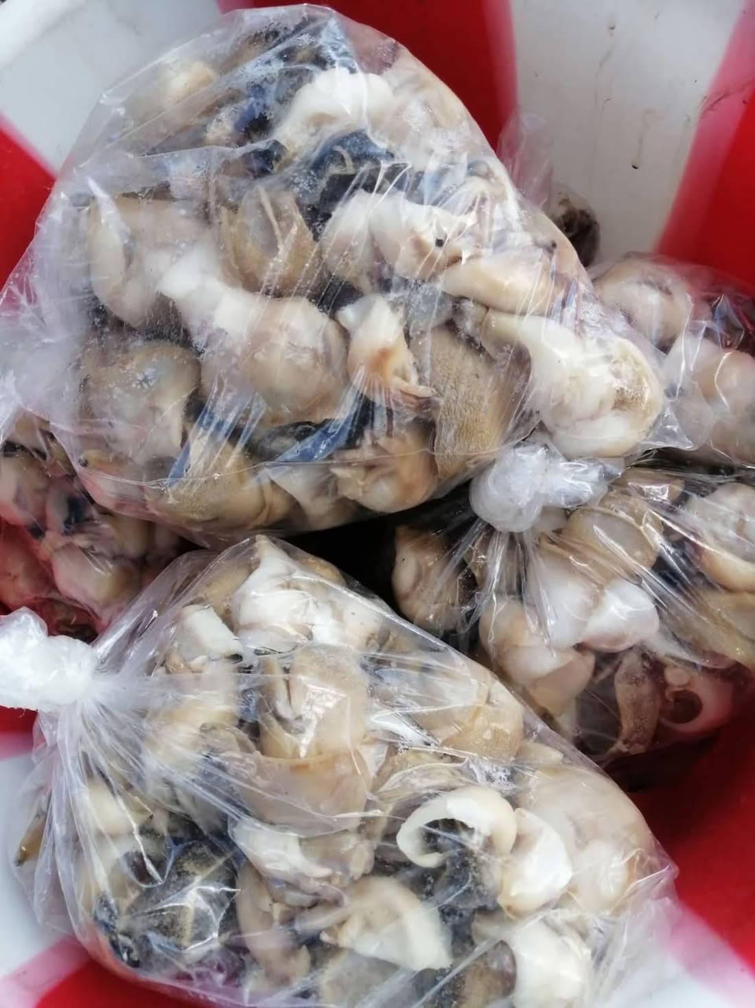 Foto 1 de 4, Imagen de Pescado Fresco - Rubia $100/kg, Filete $140/kg