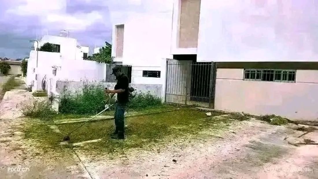 Foto 1 de 5, Imagen de Limpieza de Patios, Chapeo y Poda de Árboles