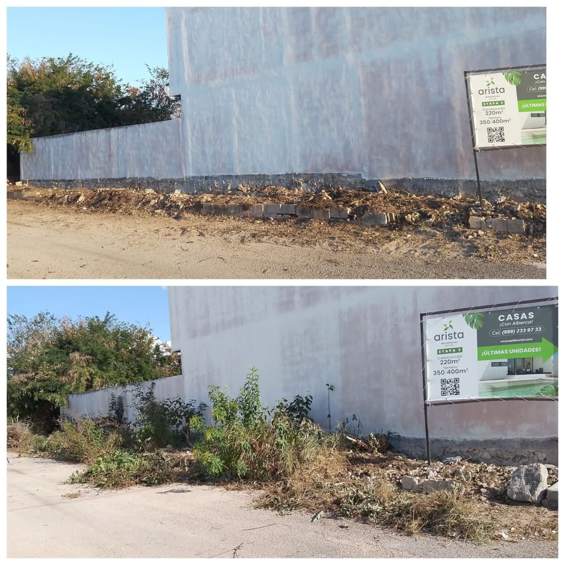 Imagen de Limpieza de Escarpa + Fumigación, Ciudad Caucel