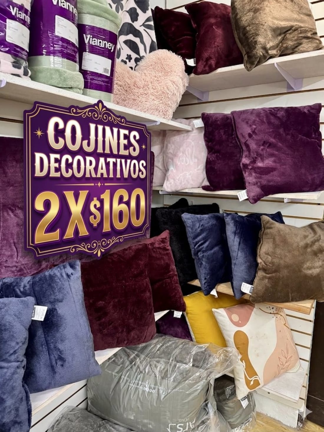 Vianney Cojines y Almohadas